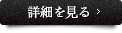 詳細をみる